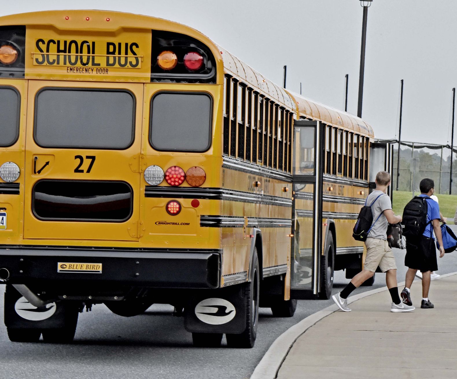 Buses